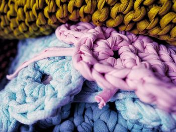 Close-up of purple flowers