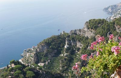 High angle view of trees by sea against sky