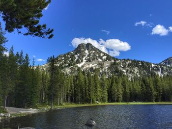 Scenic view of lake amidst trees in forest against sky