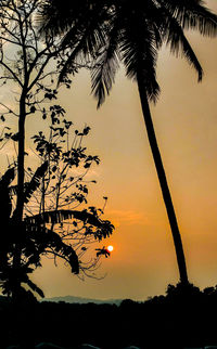 Silhouette tree against romantic sky at sunset