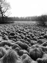 Scenic view of land against clear sky