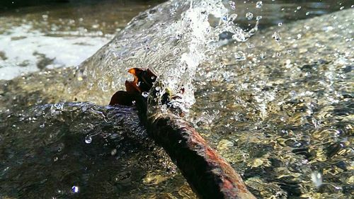 Rocks in sea