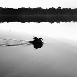 water