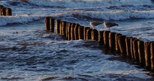 Scenic view of sea during winter