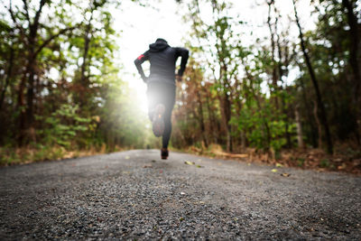 Rear view of man walking on footpath in forest