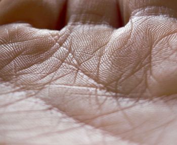 Full frame shot of textured surface