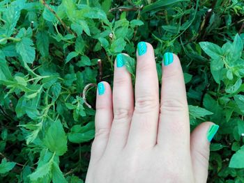 Close-up of woman hand with plants