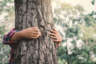 Close-up of man holding tree trunk in forest