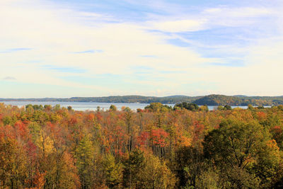 Scenic view of forest against sky during autumn