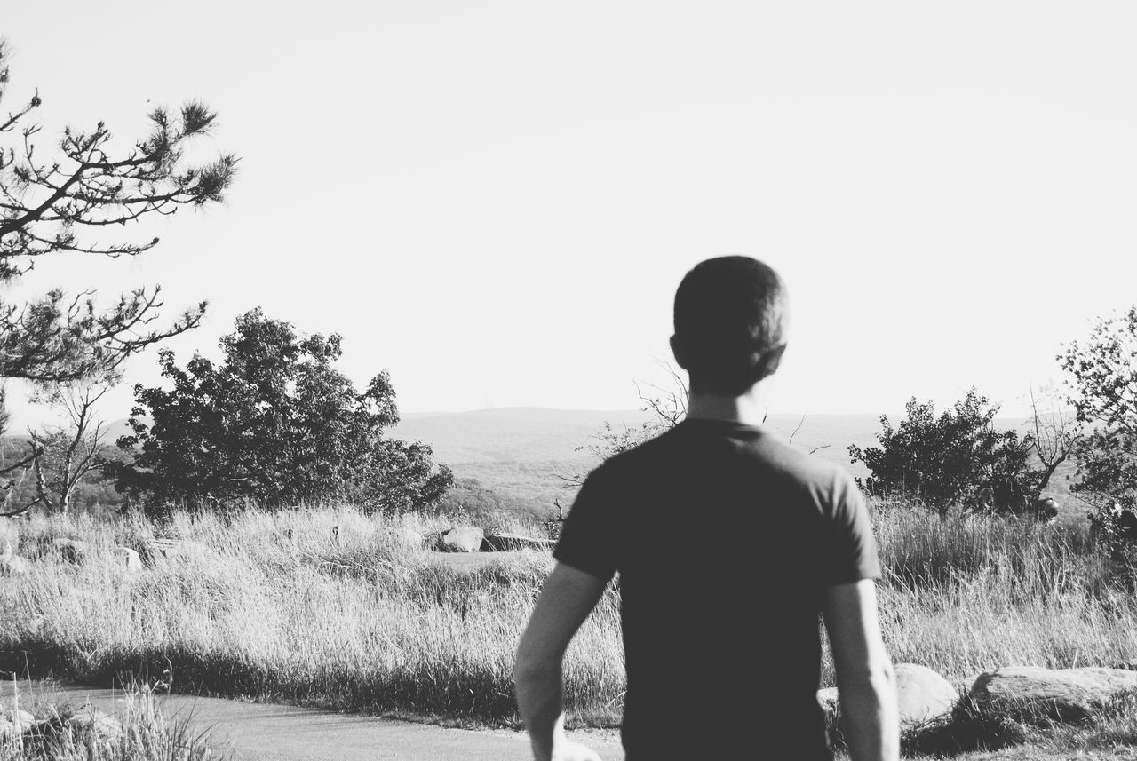 rear view, lifestyles, clear sky, leisure activity, copy space, tree, standing, person, men, three quarter length, nature, tranquility, tranquil scene, sky, beauty in nature, waist up, looking at view, field