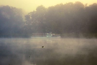View of birds in lake during rainy season