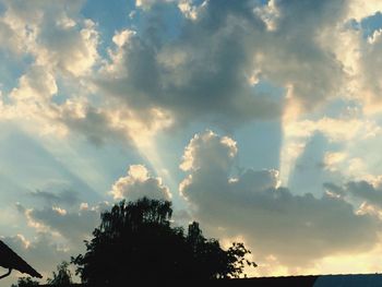 Low angle view of silhouette trees against sky