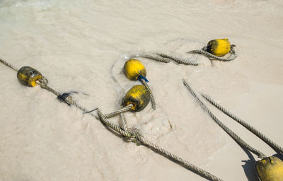 Buoys and rope at beach