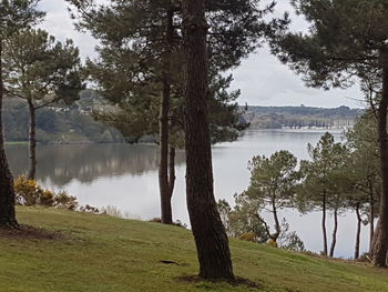 Scenic view of lake by trees against sky