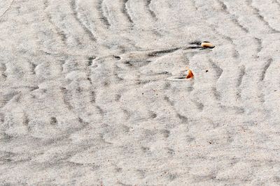 High angle view of cigarette on sand