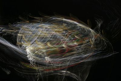 Close-up of light painting against black background