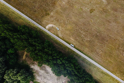 High angle view of a road along trees