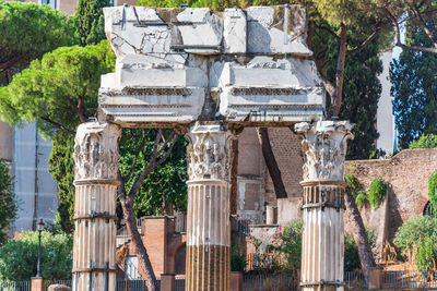 Details, engravings of ancient corinthian column ruins in front of green trees and red bricks wall