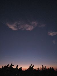 Low angle view of silhouette trees against sky at night