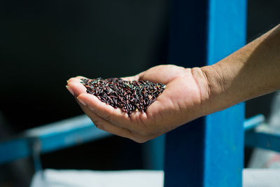 Midsection of man holding fruit