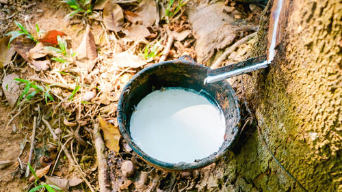 High angle view of eggs in container on field