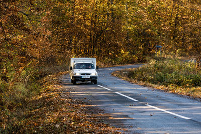 Car on road in forest