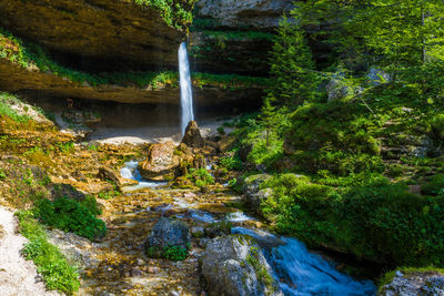 Stream flowing through rocks in forest