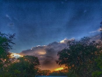 Low angle view of trees against sky at sunset