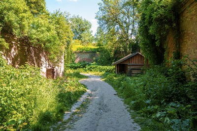 Footpath through old abandoned fort surrounded by green plants on sunny day