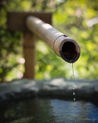 Close-up of water drop of pipe