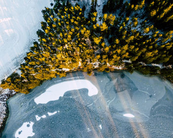 High angle view of trees by lake against sky during winter