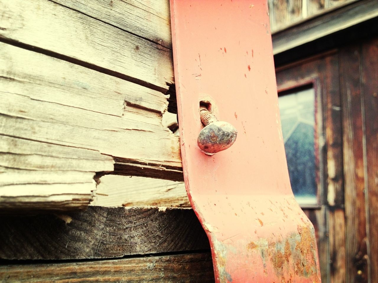 wood - material, person, wooden, close-up, holding, focus on foreground, part of, plank, cropped, wood, day, indoors, human finger, one animal, wall - building feature, unrecognizable person