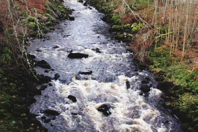 High angle view of waterfall in forest