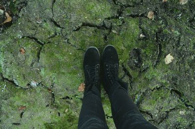 Low section of man standing on ground