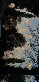 High angle view of leaves floating on lake against sky