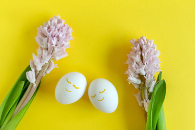 Close-up of white flowering plant against yellow background