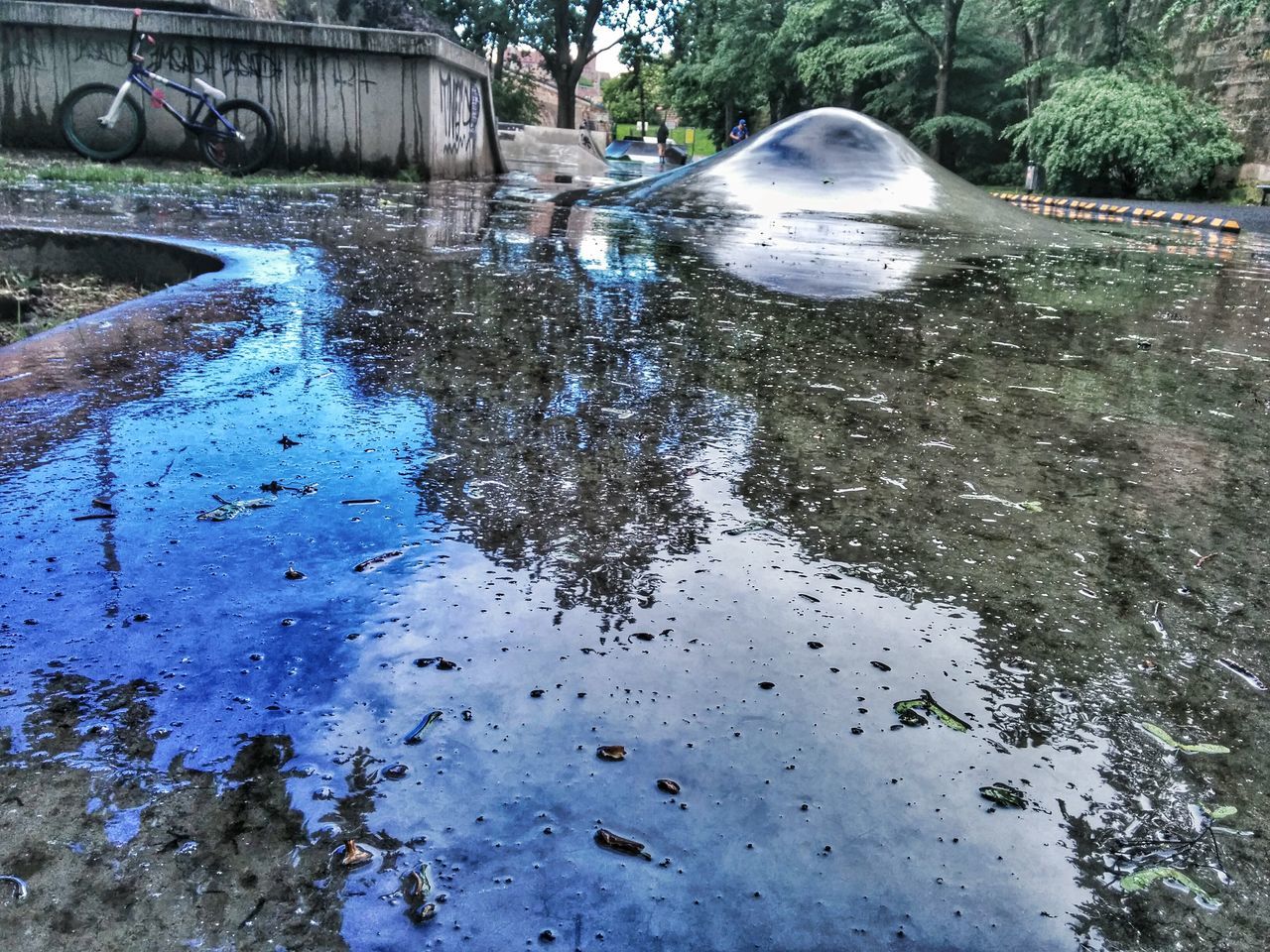 water, reflection, wet, puddle, season, tree, rain, street, day, drop, nature, outdoors, high angle view, transportation, no people, car, road, close-up, weather, lake