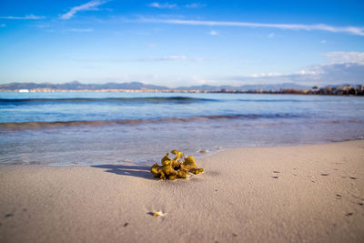 View of calm beach against blue sky