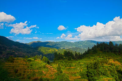 Scenic view of landscape against sky