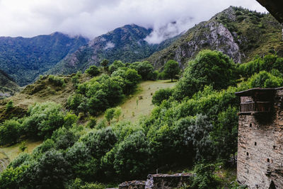 Scenic view of trees and mountains against sky