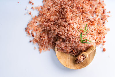 High angle view of food on white background