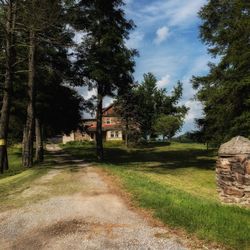 Trees in park against sky