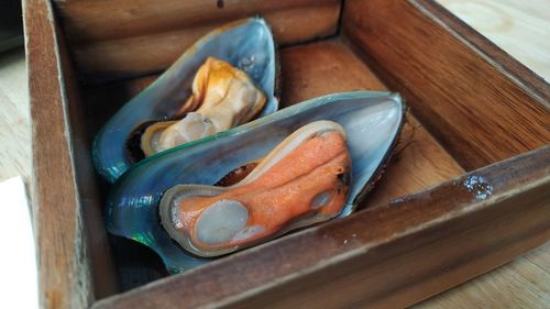 High angle view of fish on table