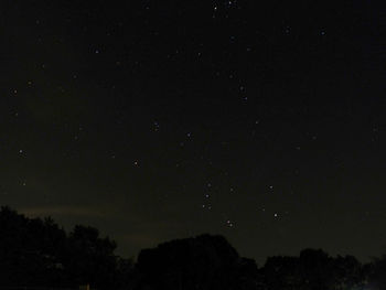 Low angle view of silhouette trees against sky at night