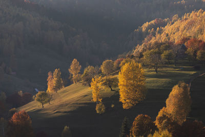 Scenic view of trees on landscape against sky during autumn