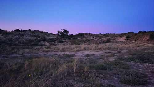 Scenic view of landscape against clear sky