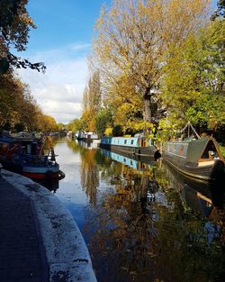 Boats moored on river by trees against sky