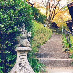 Steps amidst trees and building