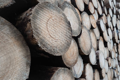 Full frame shot of logs in forest