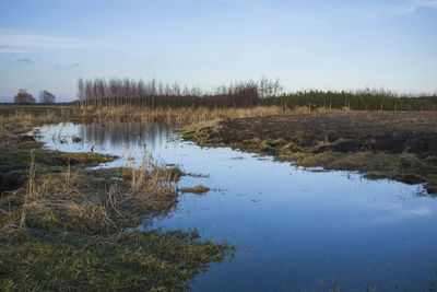 Swampy wilderness, horizon and sky